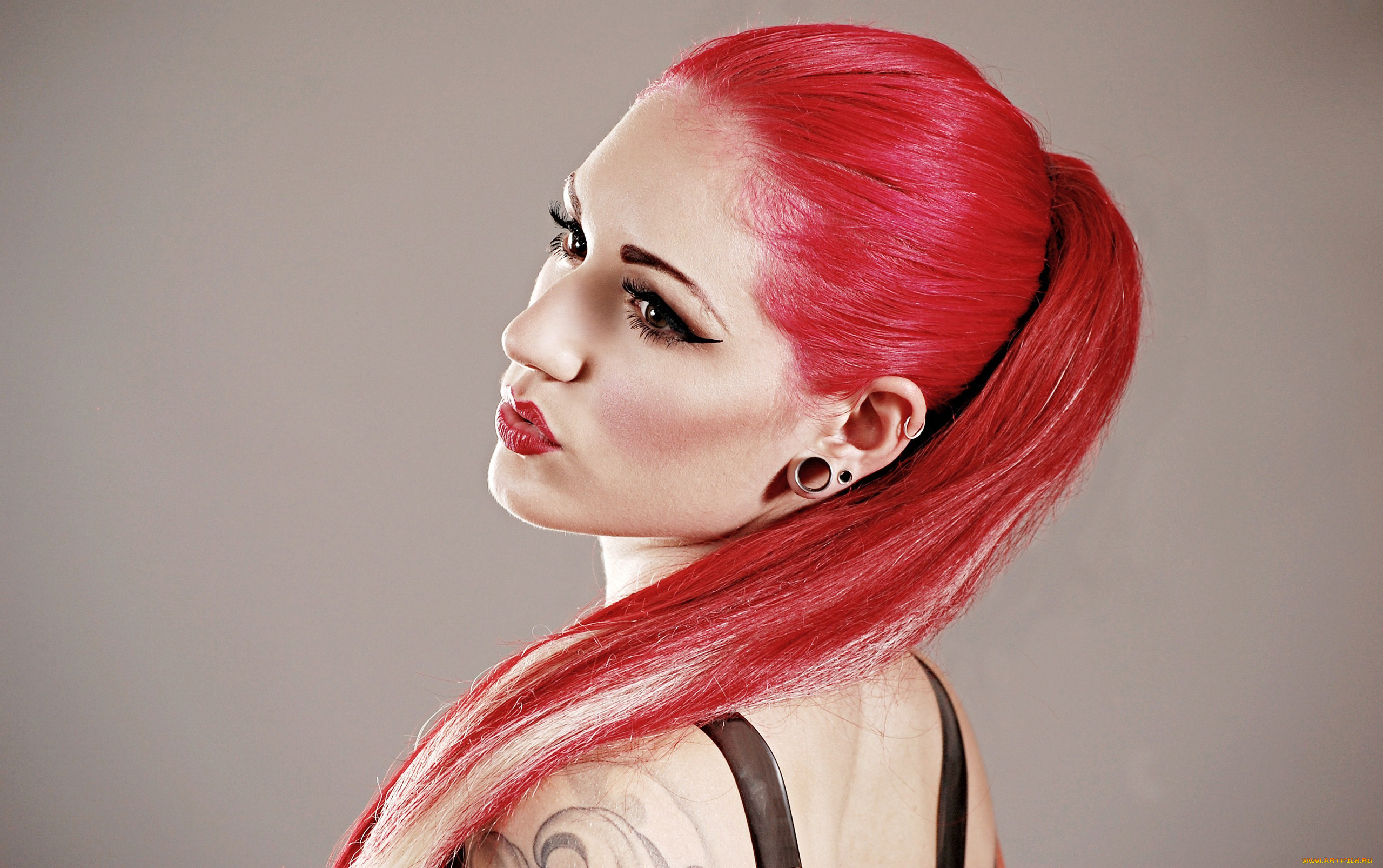 cervena fox, , cervena, fox, , , , , , , , , , , , , , , , , , , , 